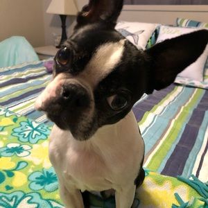 Meet your Posher, Angie